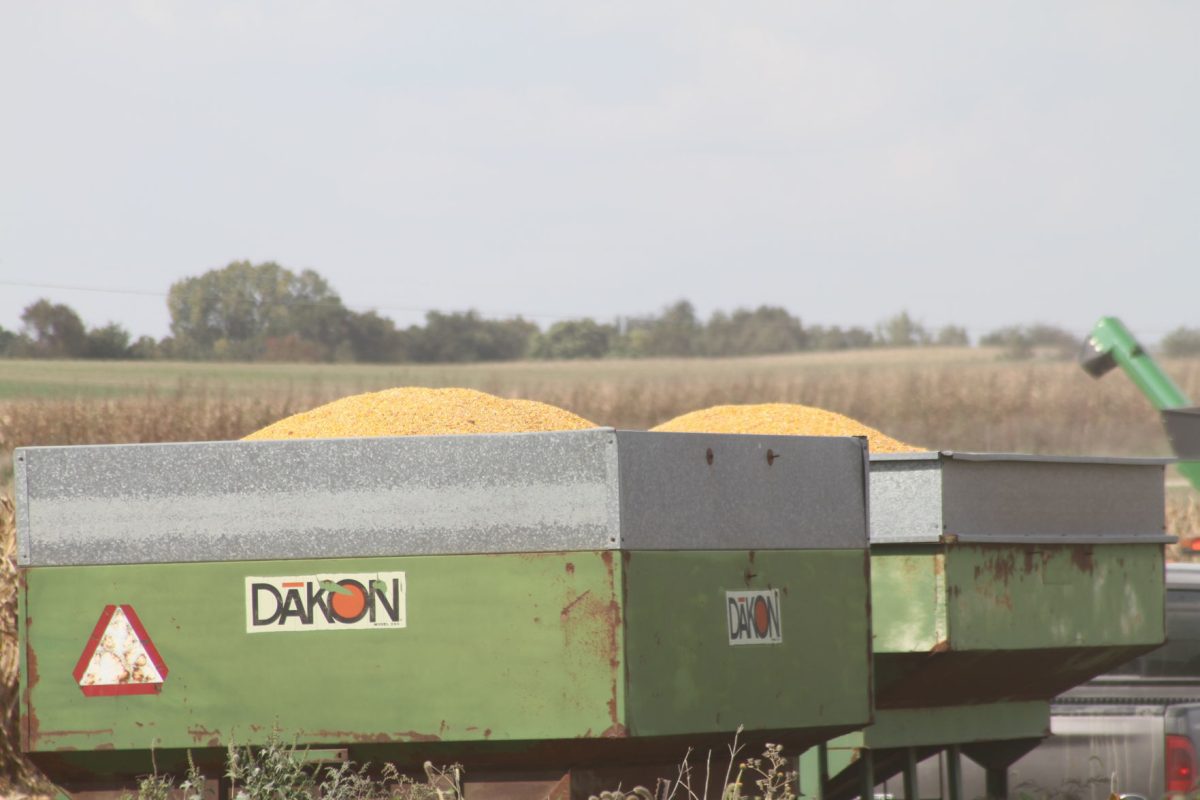 Corn filled wagons sit in a field during the 2021 harvest.