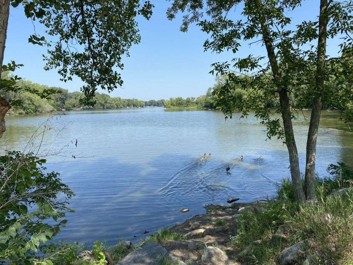 <p>Black Hawk State Park is in Sac County. It is one of 83 Iowa state parks and recreation areas.</p>