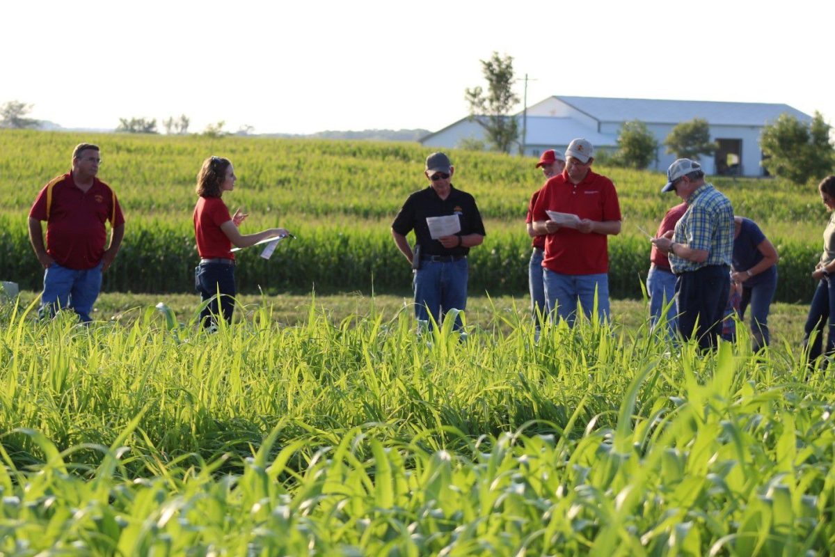 Field day at an Iowa State University research and demonstration farm.