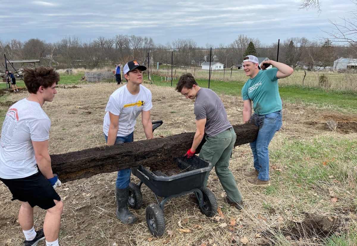 Landon Shive, with help from his buddies, works to remove an old timber from the garden at the Shueyville United Methodist Church. Shive spearheaded installing a new deer fence around the garden for his Eagle Scout service project.