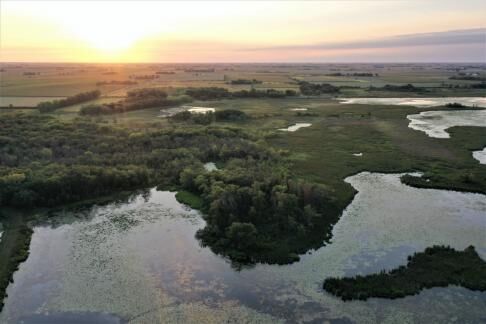 Sweet Marsh wetland in Bremer County, Iowa