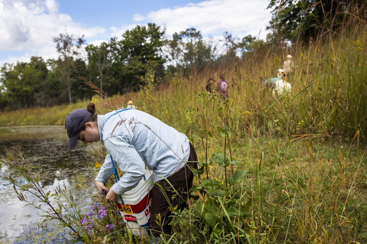 Community members harvest seeds at the Conservation Education Center at Kent Park in Johnson County in Wednesday, Sept. 25, 2024. Voulenteers hiked toward the fishing pond led by Johnson County Education Specialist Kristen Marrow. The seeds collected during the harvest will be used for ecosystem restoration projects across Johnson County.