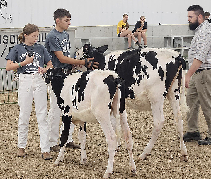Peyton Recker, a member of the Graham Champions 4-H Club, showed the Champion Holstein in the Dairy Show held Monday, July 21.