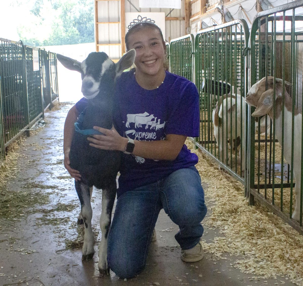 Taylor Cavanh, recently crowned the 2025 Johnson County Fair Princess, smiles with one of her goats before participating in the Supreme Showmanship event Wednesday, July 23. Cavanh is a member of the Graham Champions 4-H Club.