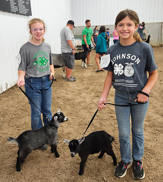 Emma Fencl (at right) helped Madelyn Moses show her Pygmy goats at the 2025 Johnson County Fair.