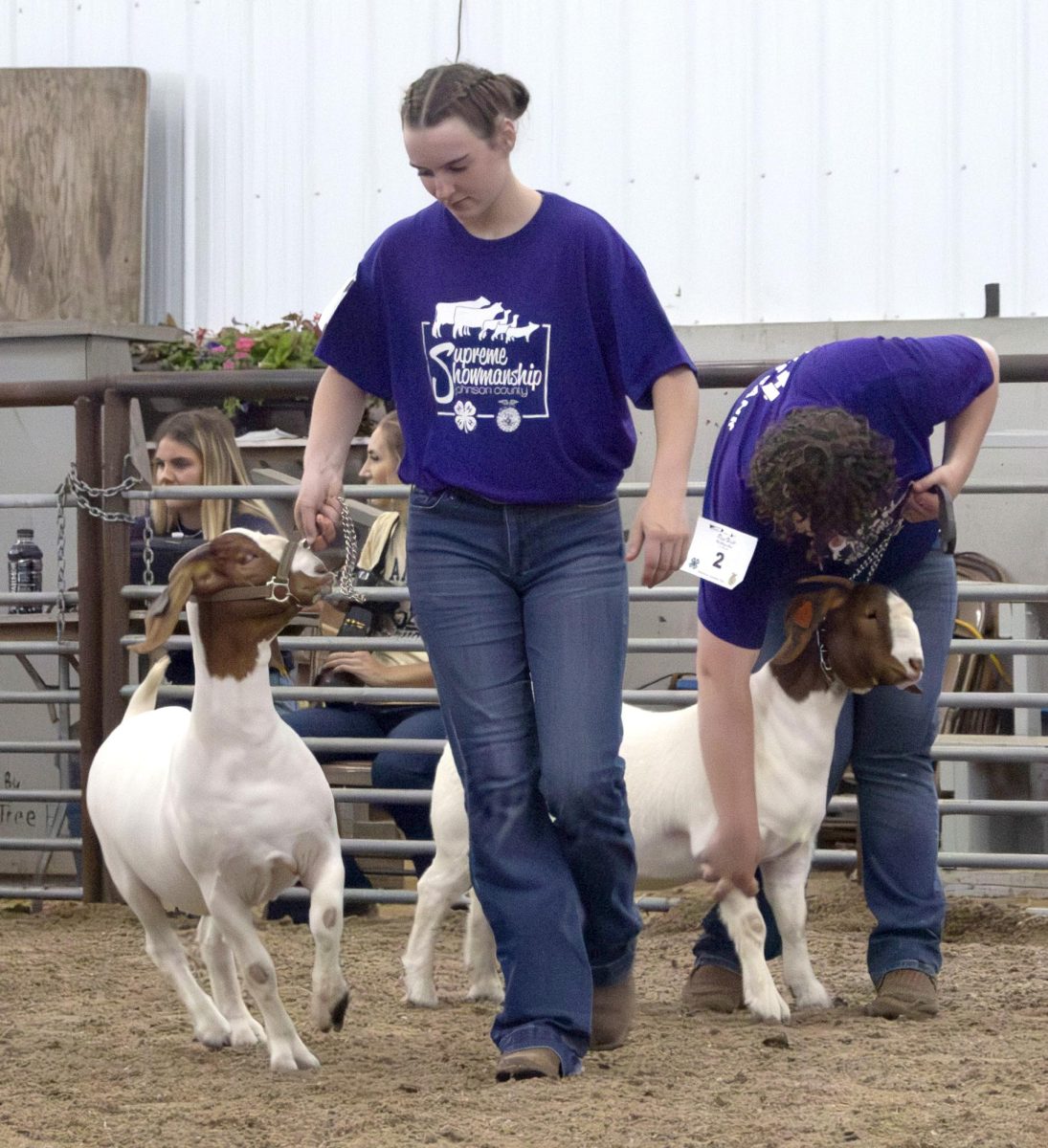 Audrey Bulechek works to control her energetic dairy goat during the Supreme Showmanship event at the Johnson County Fair Wednesday, July 23.