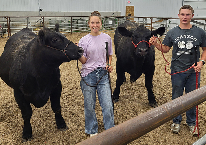 Rose and William McAtee competed in the Breed Steer event of the 2025 Johnson County Fair Wednesday, July 23 with William taking home Champion Angus Steer honors along with a purple ribbon and first place while Rose won a blue fourth place ribbon. The McAtee’s are members of the Graham Champions 4-H Club.