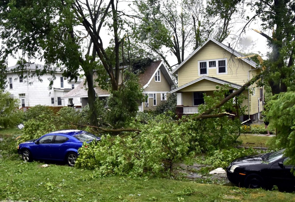 Homeowners insurance may cover damage from fallen trees if caused by storms or other covered perils as defined by the policy. Understanding your policies and acting quickly can help minimize stress and out-of-pocket expenses in these unexpected events.