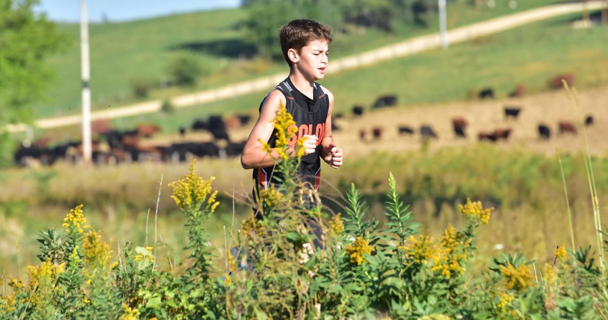 Boden Laing personifies cross country athletics in Iowa as he runs past tall grass and colorful weeds with a cow herd in the background Saturday, Sept. 27 at Anamosa’s invitational. The Solon Middle School boys won the 2-mile event.