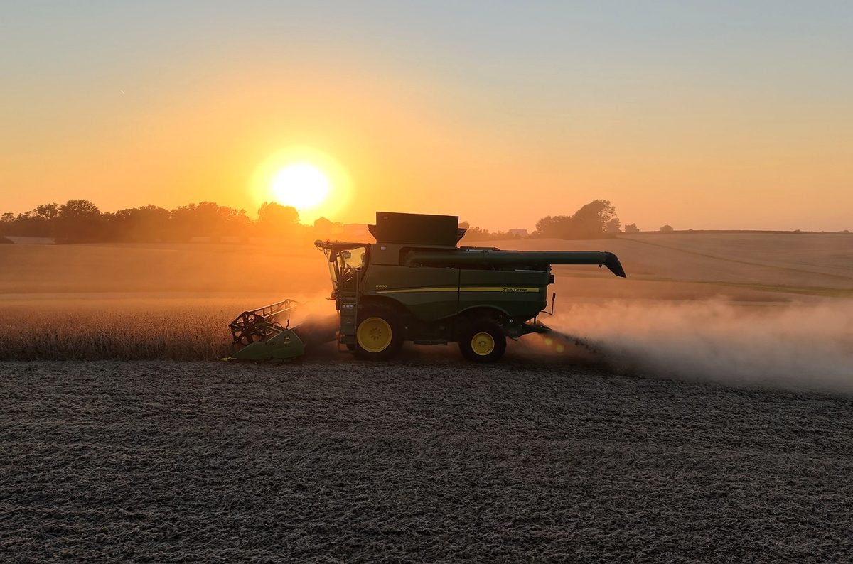 The beauty of harvest